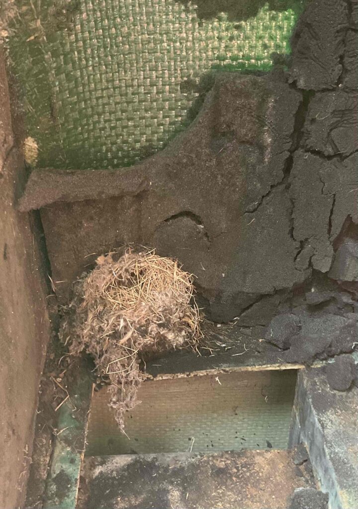 A rodents nest inside a generator unit. The rodent has damaged the insulation which could cause other safety issues. 